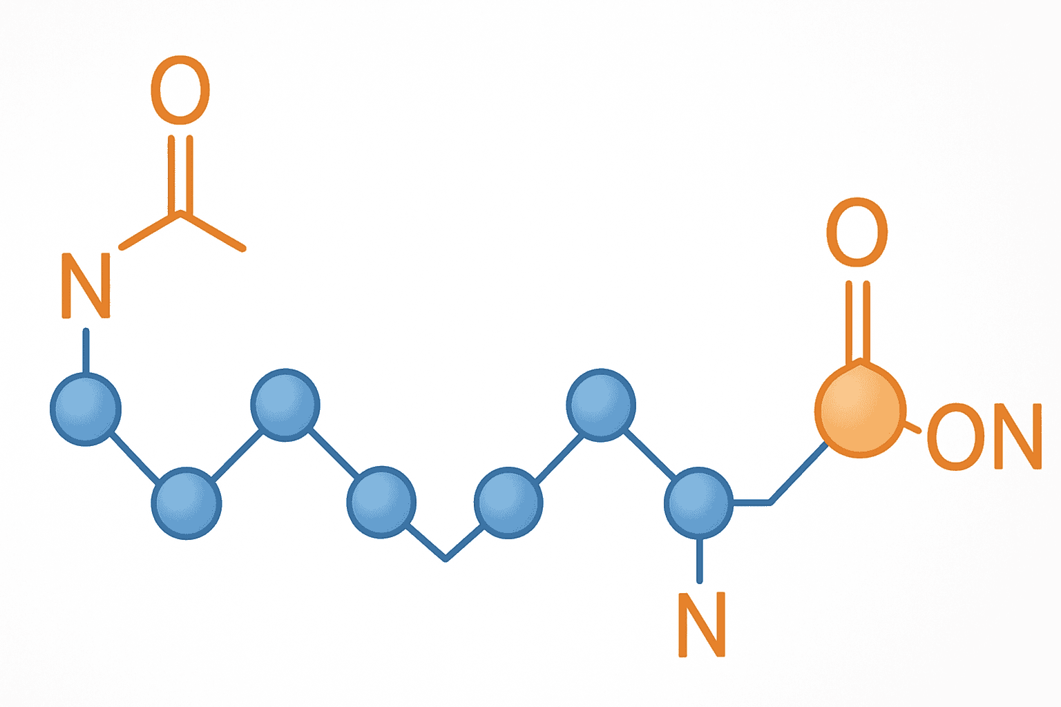 N-Terminal Acetylation & C-Terminal Amidation: Why Modifications Matter
