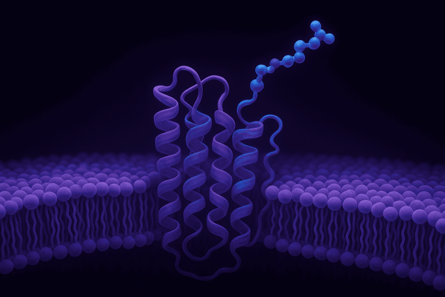 Growth Hormone Secretagogue Receptor Research: Peptide Ligands Examined